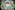 DOMINIQUE MUCKENSCHNABL „Schmetterling“ 03.09.2018 Rorschach Bilder, Acrylfarbe – 335x338mm, Papier, A4