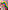 R. BERGER „Farbenengel “ (Aquarell, auf Aquarellkarton), 10,5x15,5cm, 02.2020