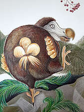 JULIA COLLET „Dodo auf einem Bein“ (Buntstiftzeichnung), 30x42cm